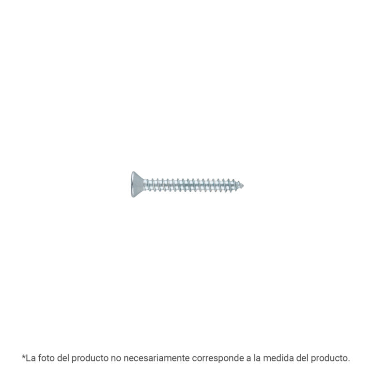 Bolsa 200 pijas para lámina cabeza plana #6 x 5/8", FIERO 40875