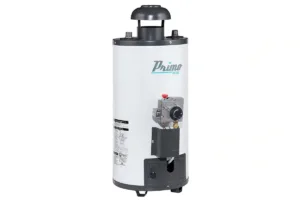CALENTADOR PRIMO PLUS RR-06L GAS LP RAPIDA RECUPERACION